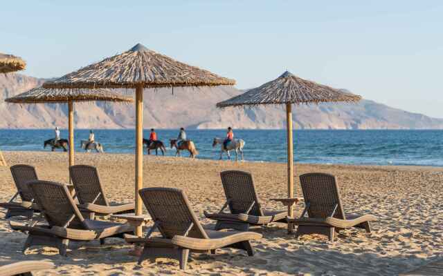 Delfina Tropic Beach