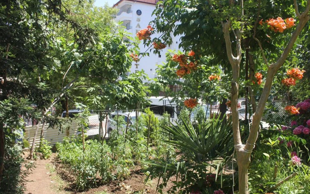 Termal Orkide Motel