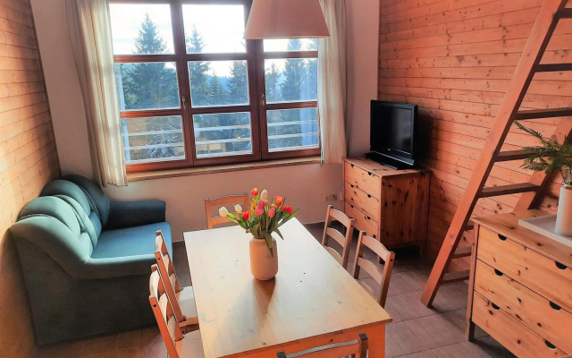 Velký apartmán Cihlarka pro až 17 osob