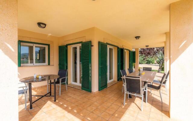 La Vinya del Beato 1950