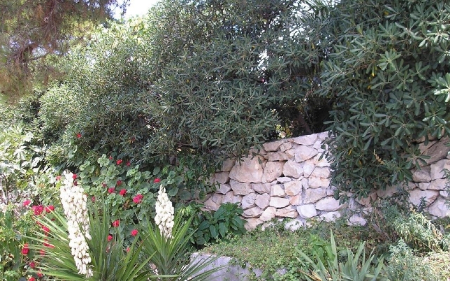 Apartment Zelko - garden and barbecue: A3 Hvar, Island Hvar