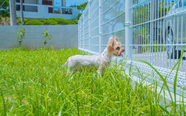 Summer Palace Miyako