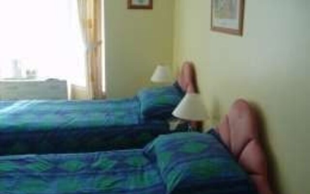 The Three Tees - Guest house