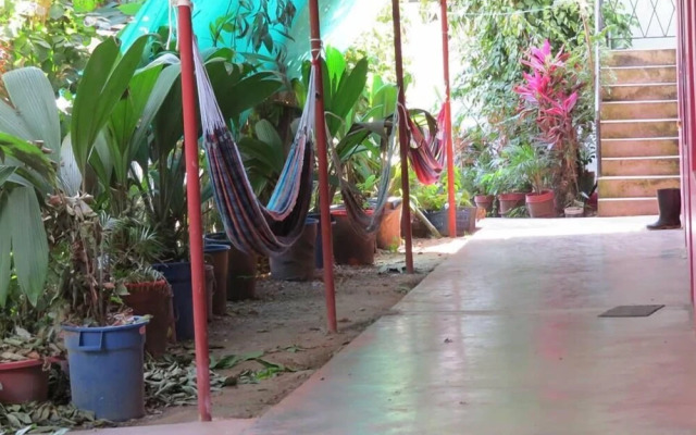 Bambú - Hostel