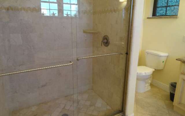 Sand Dollar by RedAwning