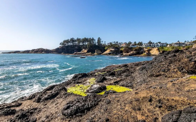 Barracuda Cove