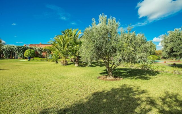 Villa les Oliviers - A Setting of Tranquility