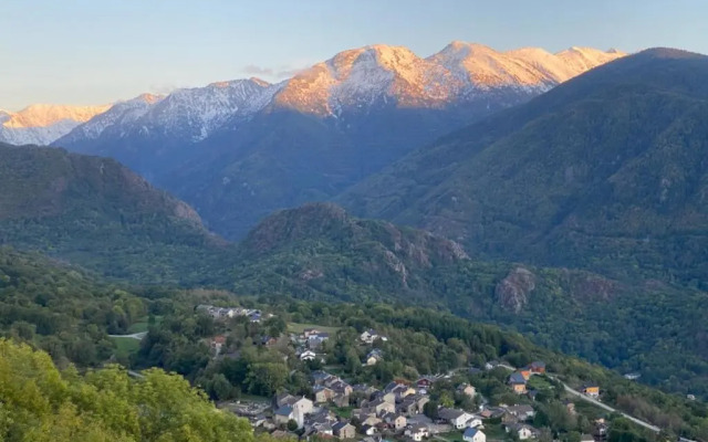 Les Feiches et Marguerites