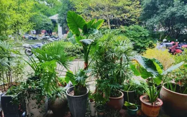Ruoyin Hostel