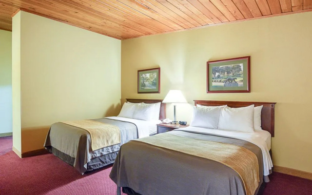 Comfort Inn Winchester