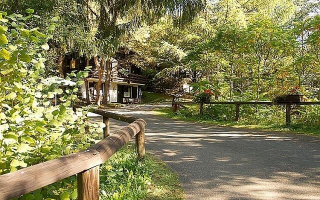 Attractive Chalet With Fireplace