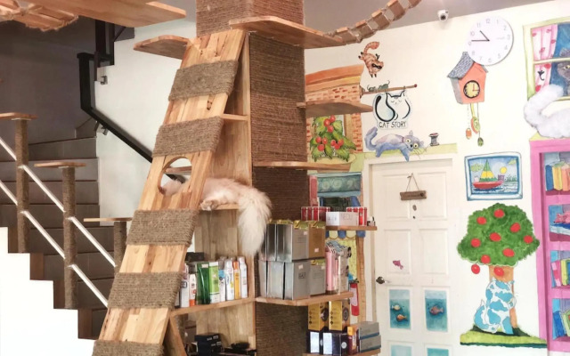 Cat Story Hotel