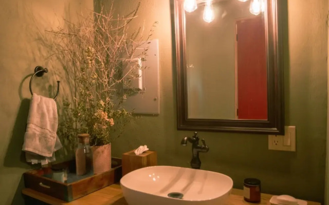 Alma Liebre Viñedos del Valle