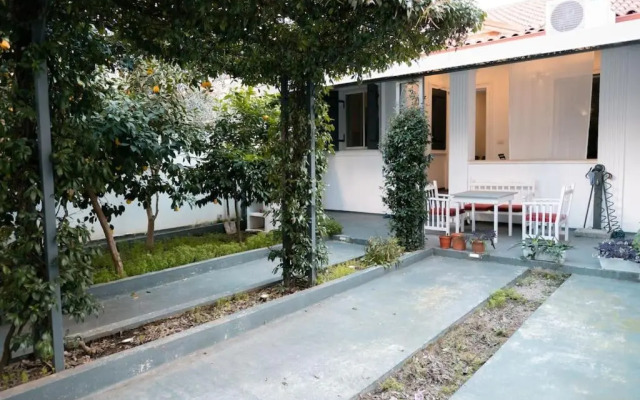 Vila 1951
