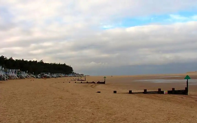 No 52 'Sea Holly' Holkham