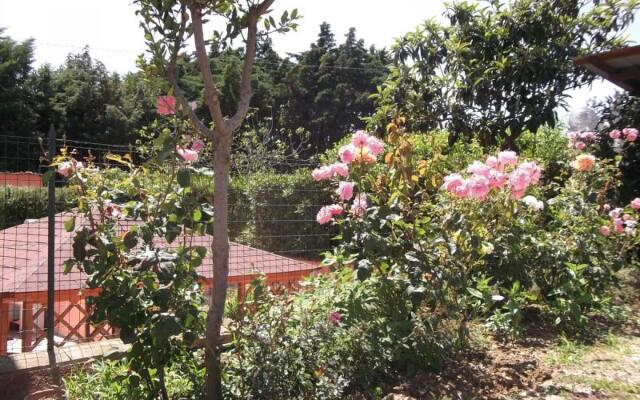The Casina sleeps 4 surrounded by greenery-LA CASINA A SCHIOPPARELLO