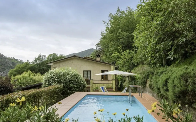 Laia Seravezza in Seravezza