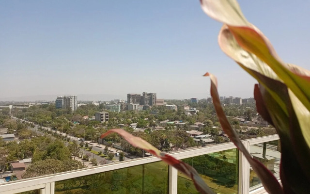 Central Hawassa hotel
