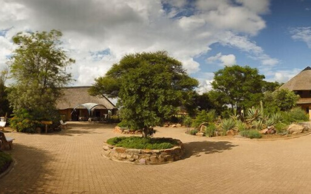 Cheetah View