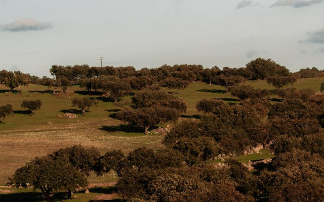 Herdade Dos Moreiros