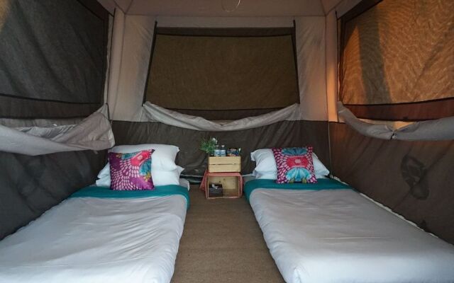 Singha Park Chiang Rai Camping