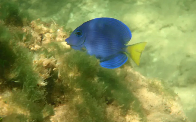 Pousada Kaluana