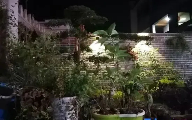Original Work Guesthouse