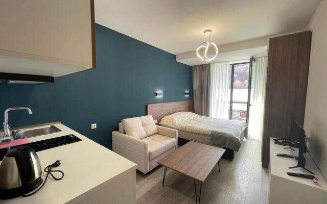 Cosy Appartment in Bakuriani