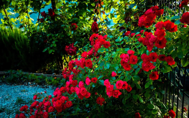 Etno House Mira i Vinarija DSM