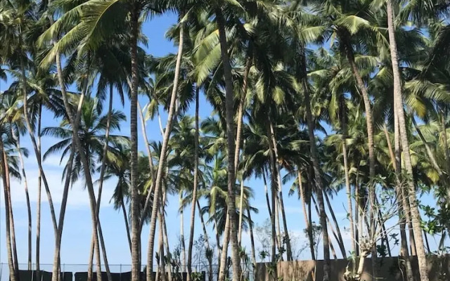 The Villa by Contemporary Ceylon