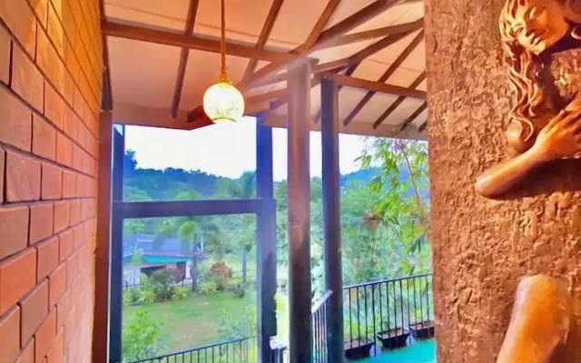Villa Shungite