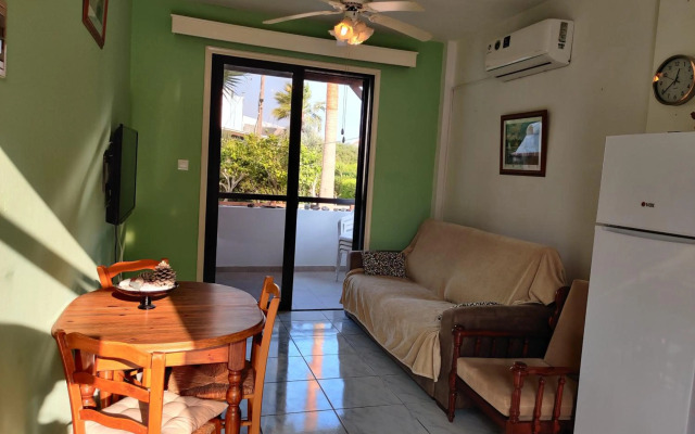 Palm garden paradise