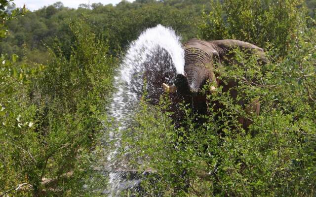 Muweti Bush Lodge