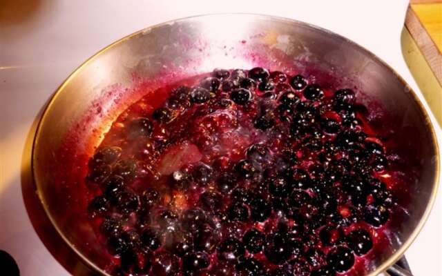 1922 Starkey House Bed & Breakfast Inn