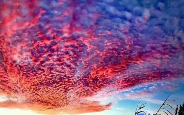 Sanwanli Senlv Designer Homestay (Tengchong Heshun Ancient Town)