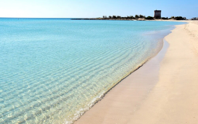 Rusciu Te Lu Mare Apartment