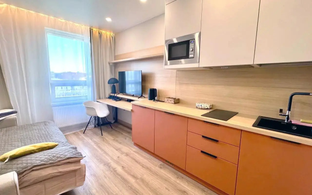 Студия в новом доме