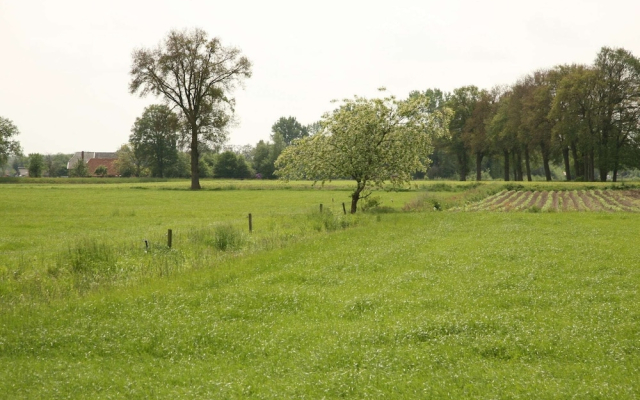 Beautiful Farmhouse in Neede near Forest