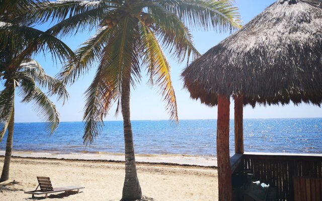 The Beach Residence