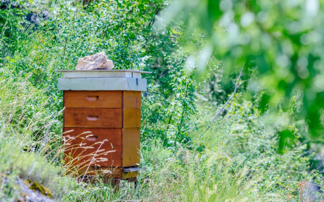 Rustic House Leković