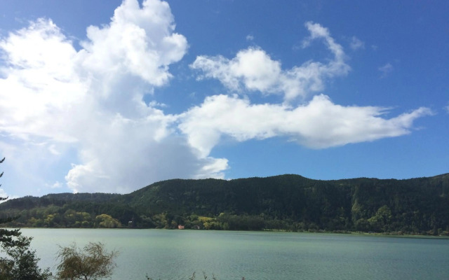 Casa das Camélias - Family Villa by the lagoon