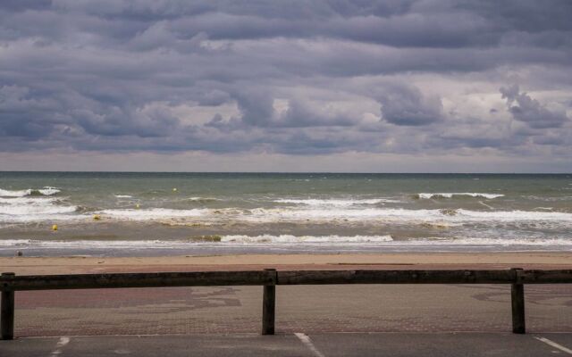 Evancy Bray-Dunes Etoile de mer