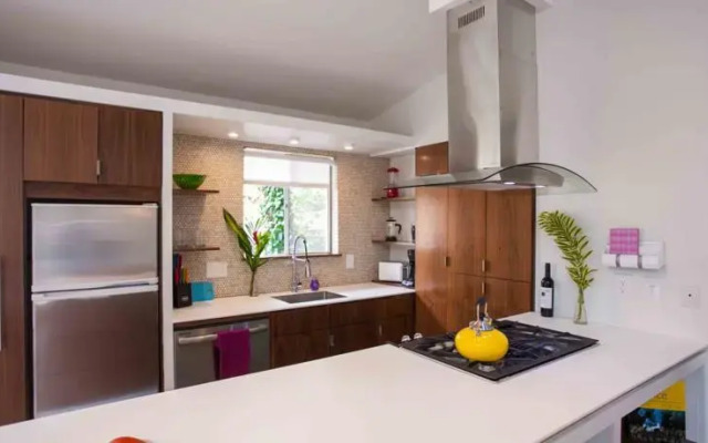 Travis Heights Modern III