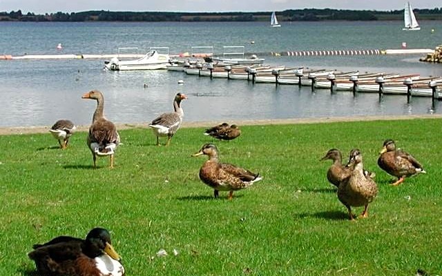 Grafham Water Lodge