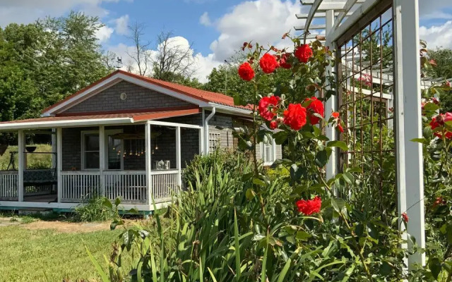 Творческий глэмпинг Скворечник