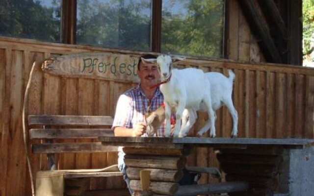 Bauernhof Monegger