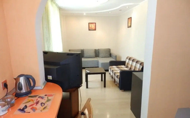 Apartment on Ordzhonikidze 42