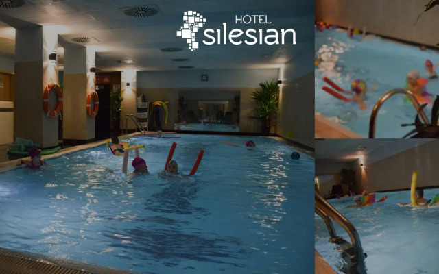 Economy Silesian Hotel