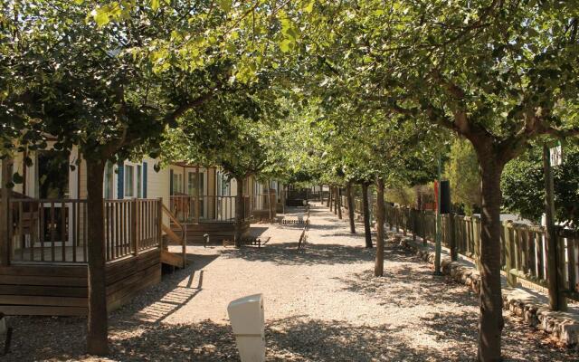 Camping Alberg Tivissa