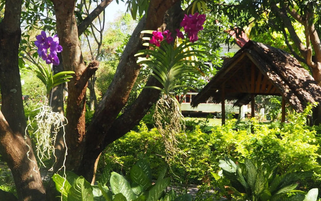 Thai Bamboo Guesthouse Resort